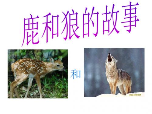 14鹿和狼的故事ppt