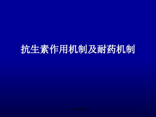 抗生素作用机制及耐药机制ppt课件