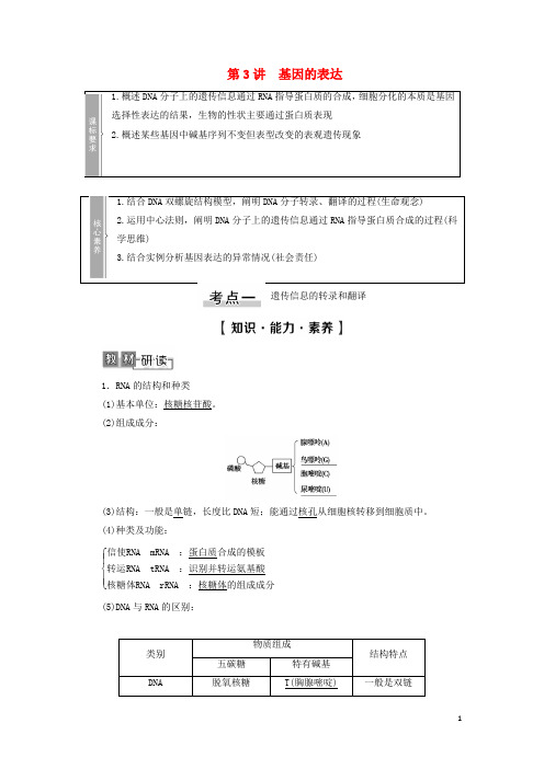 高考生物一轮复习第6单元遗传的分子基础第3讲基因的表达学案