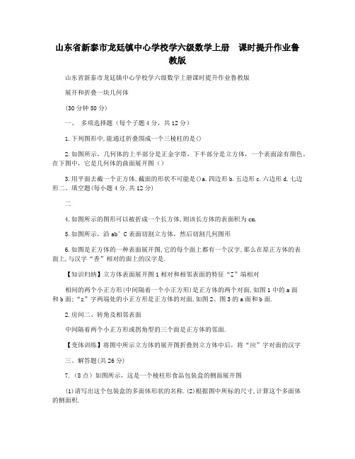 山东省新泰市龙廷镇中心学校学六级数学上册  课时提升作业鲁教版