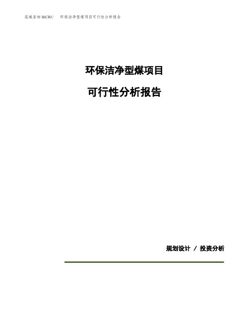 环保洁净型煤项目可行性分析报告(模板参考范文)