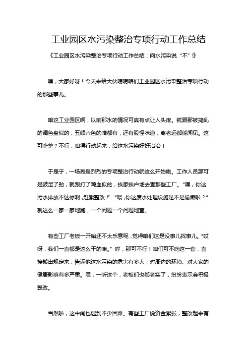 工业园区水污染整治专项行动工作总结