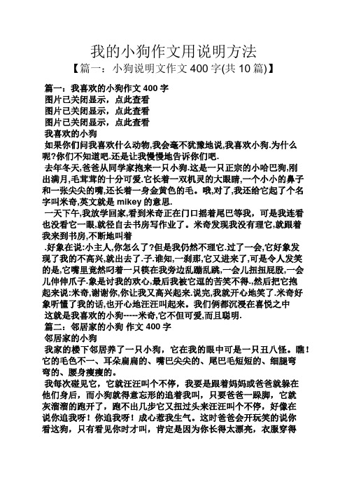 我的小狗作文用说明方法