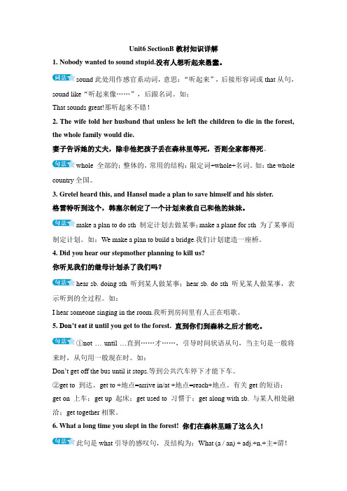 人教版英语八年级下册Unit6 SectionB教材知识详解