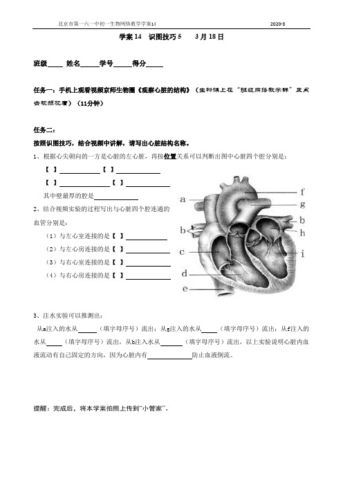 3月18日《识图技巧5心脏结构图》学案