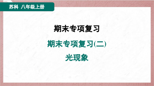 2024年苏科版八年级上册物理期末专项复习(二) 光现象