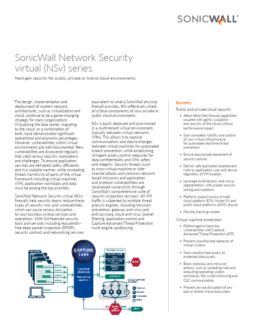 SonicWall NSv 虚拟防火墙安全指南说明书