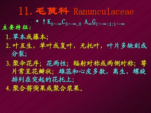 被子植物桑科蓼科等10秋11-14