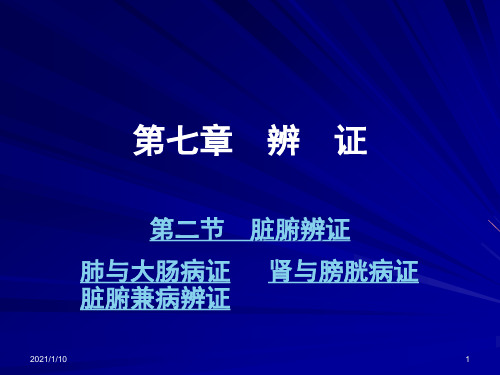 中兽医辨证4脏腑辨证肺与大肠肾与膀胱12精品PPT课件