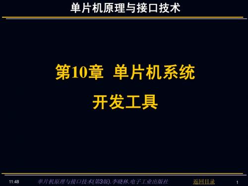 单片机原理与接口技术第10章