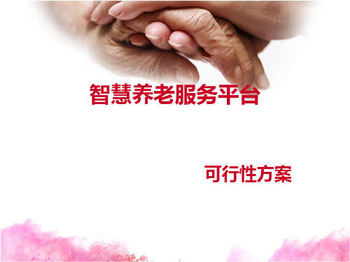 某养老服务平台可行性方案(PPT 46页)