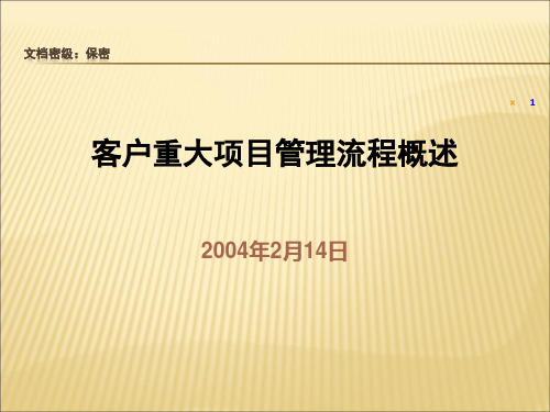 华为客户重大项目管理流程概述资料