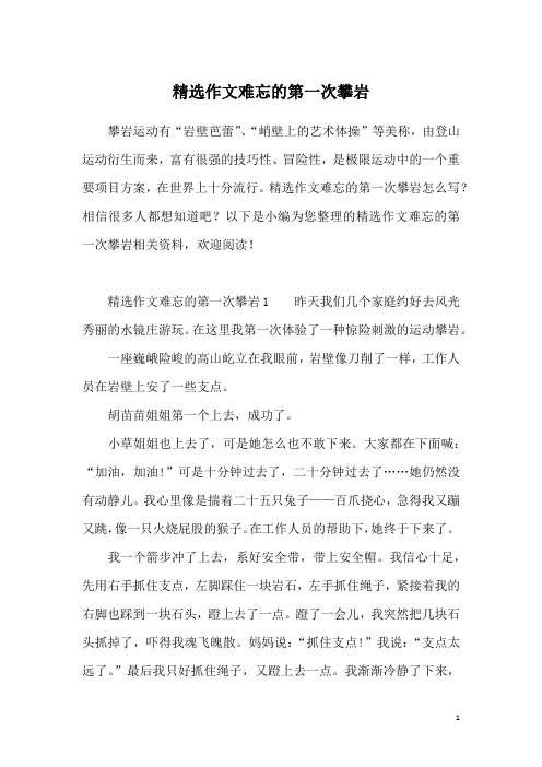 精选作文难忘的第一次攀岩