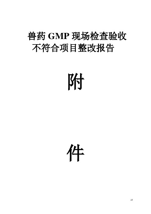 兽药GMP现场检查验收整改资料(附件1)