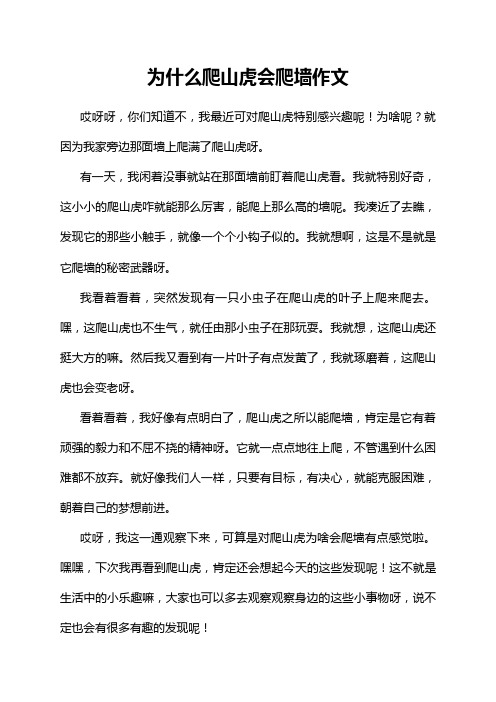 为什么爬山虎会爬墙作文