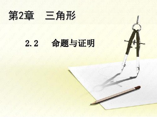 秋八年级数学上册湘教版教学课件：2.2 命题与证明(共11张PPT)