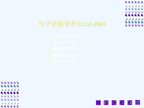 电子表格软件Excel 2003知识分析(ppt 66页)