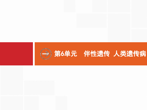 2019高三生物人教版一轮课件：第6单元 伴性遗传 人类遗传病 6.1 