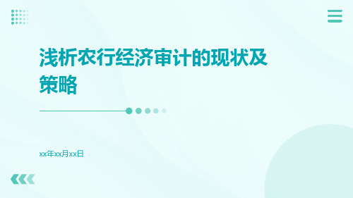 浅析农行经济审计的现状及策略