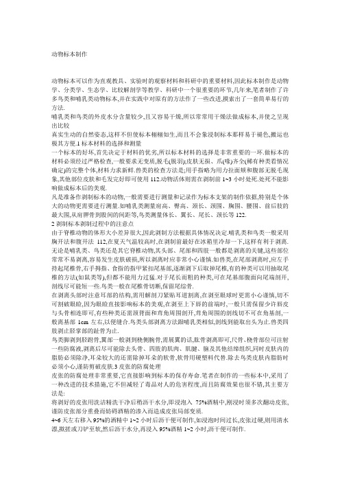 动物标本制作