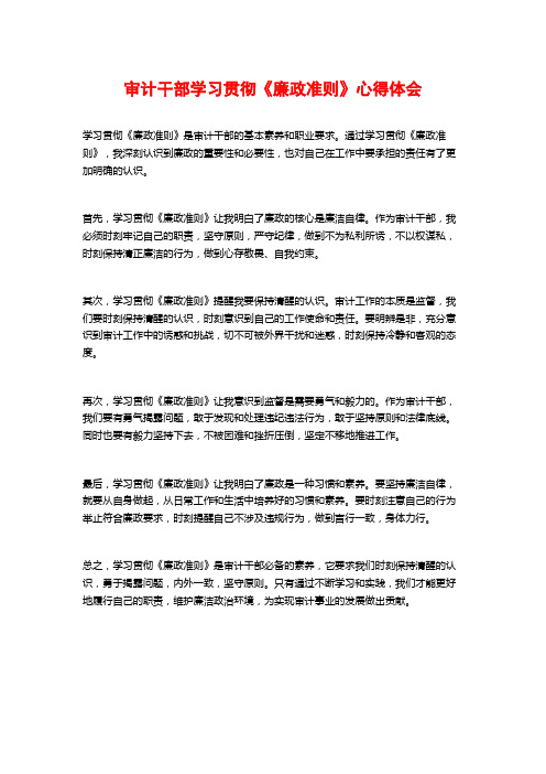 审计干部学习贯彻《廉政准则》心得体会