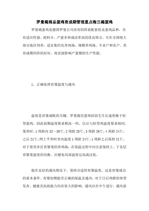 罗曼褐商品蛋鸡育成期管理重点海兰褐蛋鸡