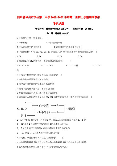 四川省泸州市泸县第一中学2019_2020学年高一生物上学期期末模拟考试试题