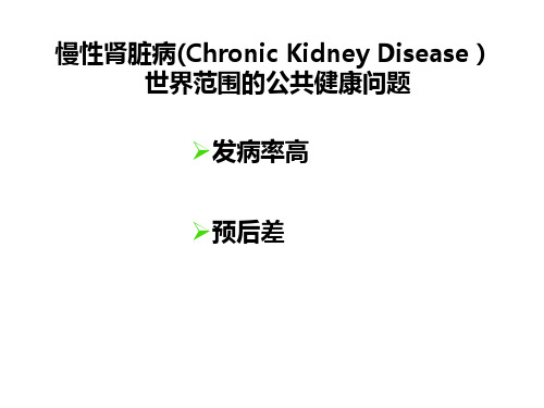 血液透析讲课