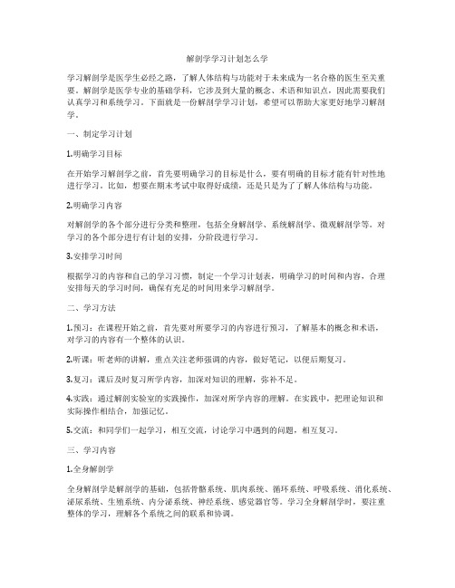 解剖学学习计划怎么学