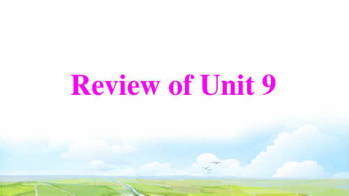 八年级英语下册Unit9HaveyoueverbeeReviewofUnit9课件人教版