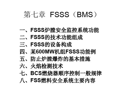 第七章11FSSS简介共29页PPT资料