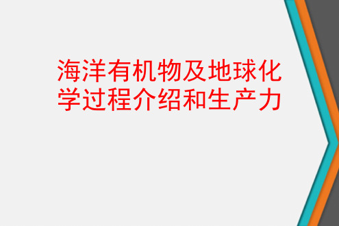 海洋有机物及地球化学过程介绍和生产力