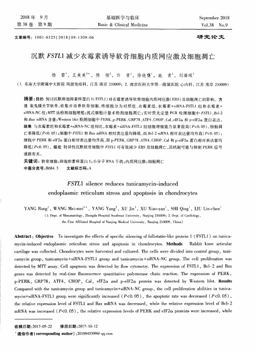 沉默FSTL1减少衣霉素诱导软骨细胞内质网应激及细胞凋亡
