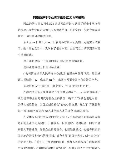 网络经济学专业实习报告范文1(可编辑)_0.doc