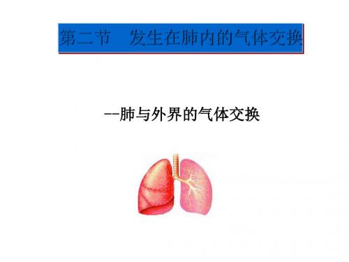 人教版七年级生物下册 4.3.2发生在肺内的气体交换(共24张ppt)