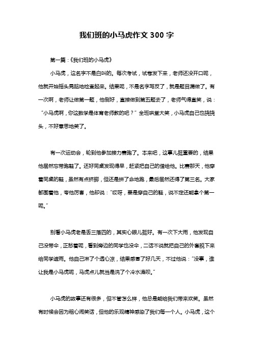 我们班的小马虎作文300字