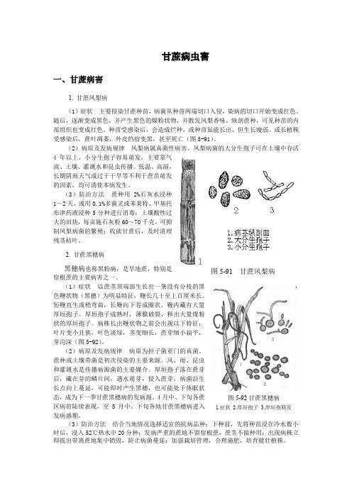 亚热带园艺植物保护甘蔗病虫害