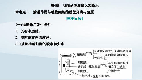 新教材高中生物综合素养提升第4章细胞的物质输入和输出pptx课件新人教版必修1