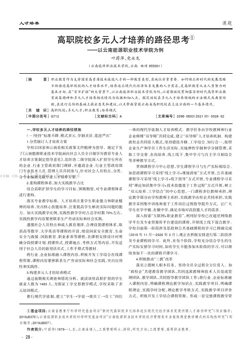 高职院校多元人才培养的路径思考——以云南能源职业技术学院为例