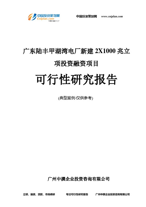 广东陆丰甲湖湾电厂新建2X1000兆融资投资立项项目可行性研究报告(中撰咨询)