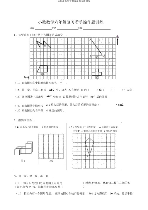 六年级数学下册操作题专项训练