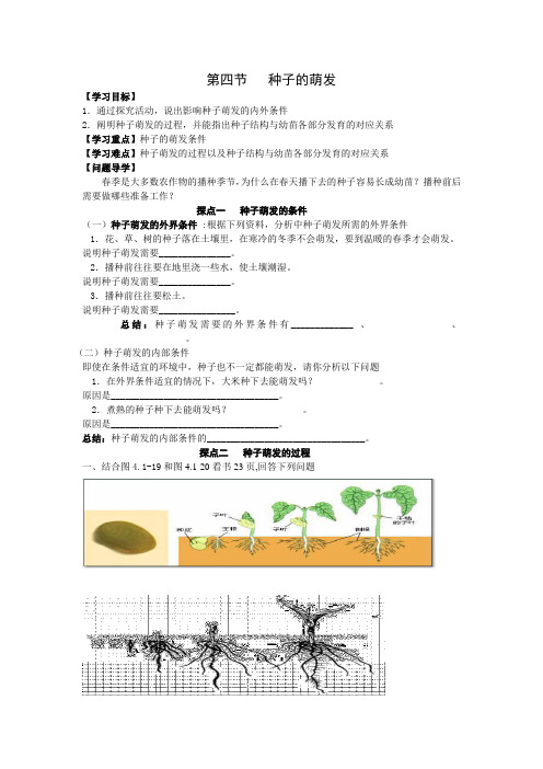 第二周八上生物种子的萌发学案