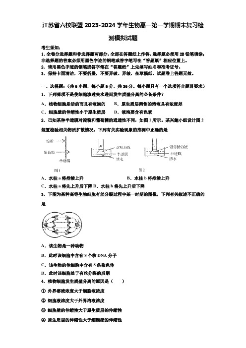 江苏省六校联盟2023-2024学年生物高一第一学期期末复习检测模拟试题含解析