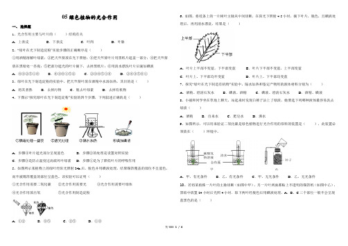 绿色植物的光合作用测试题