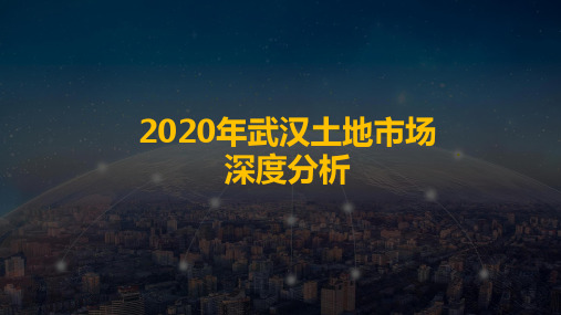 2020年武汉土地市场深度研究总结报告【精品】