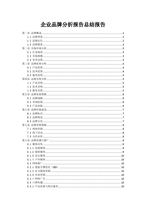 企业品牌分析报告总结报告