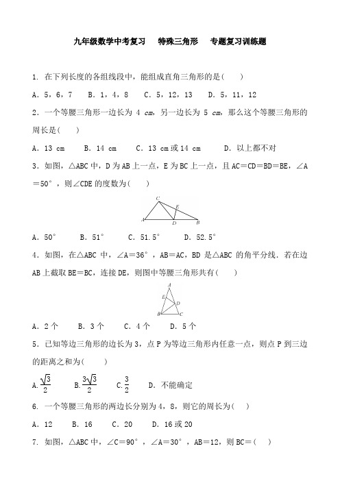 九年级中考复习 特殊三角形 专题复习训练题及答案