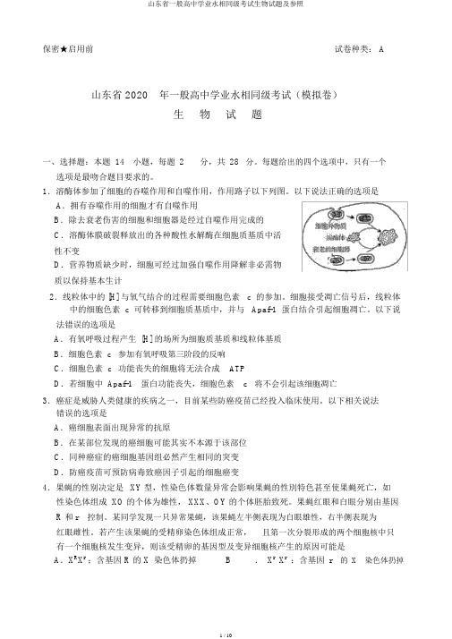 山东省普通高中学业水平等级考试生物试题及参考