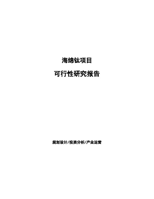 海绵钛项目可行性研究报告