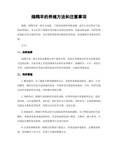 绵羯羊的养殖方法和注意事项